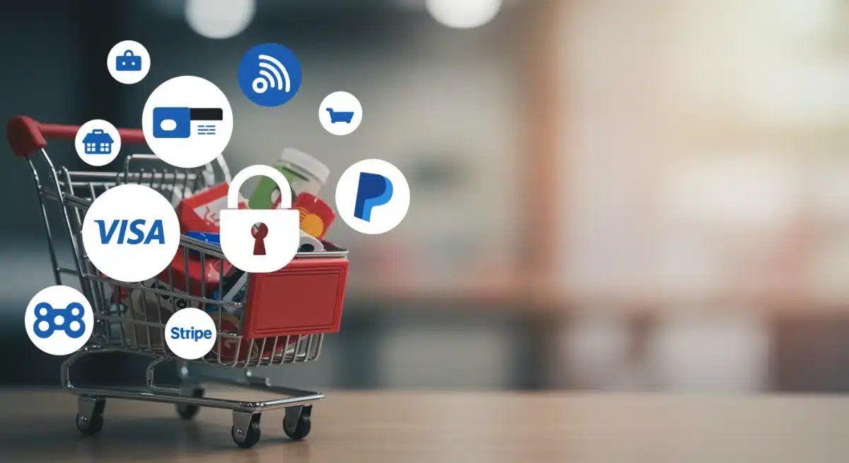 Secure online payment methods and padlock icon